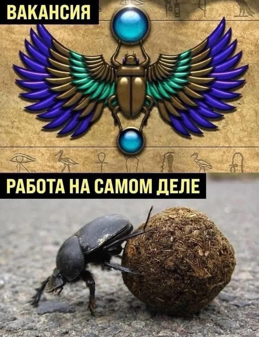 ВАКАНСИЯ РАБОТА НА САМом ДЕЛЕ