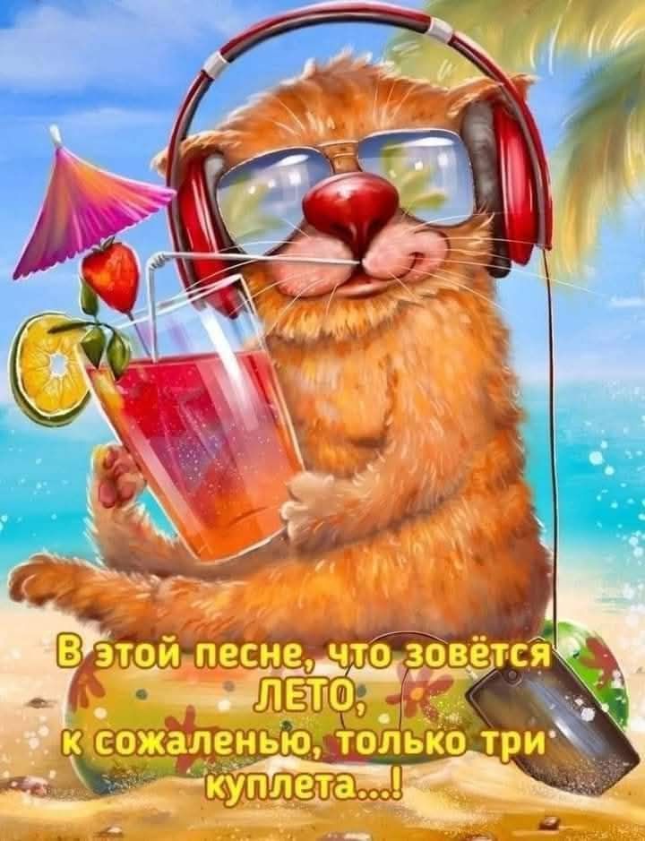 В этой песне, что зовётся ЛЕТО, к сожалению, только три куплета....