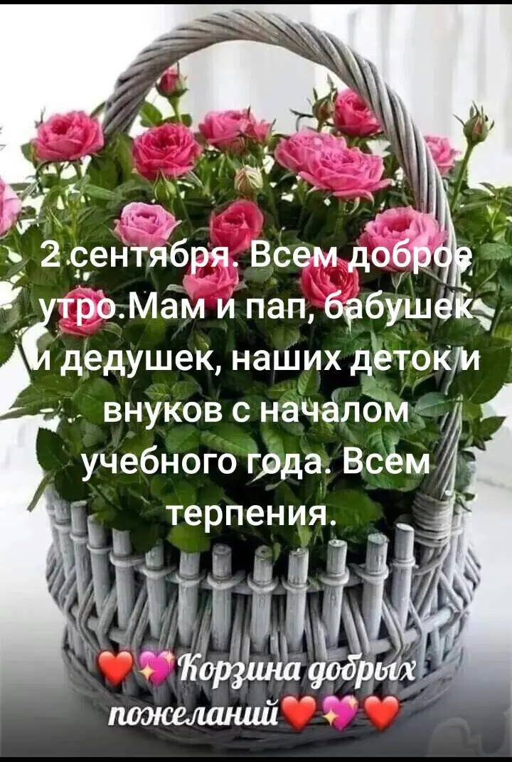 2 сентября. Всем доброе утро. Мам и пап, бабушек и дедушек, наших деток и внуков с началом учебного года. Всем терпения.

❤️🌸Корзина добрых пожеланий❤️🌸