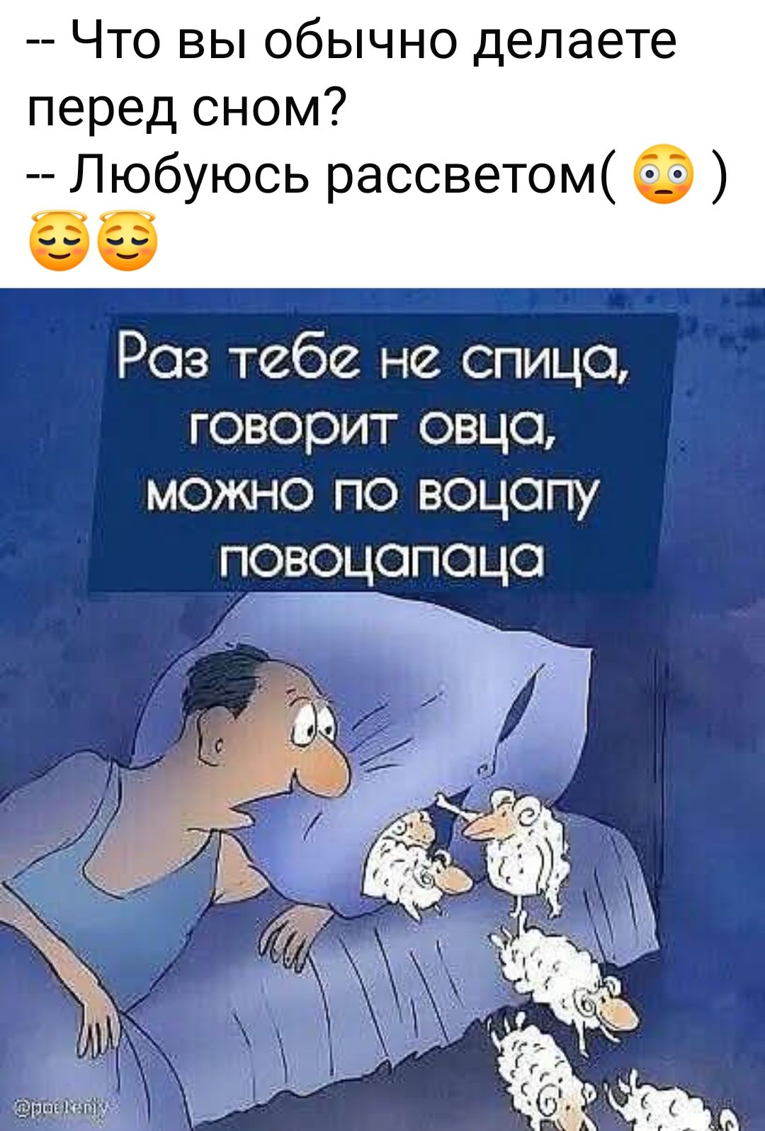 -- Что вы обычно делаете перед сном?
-- Люблюсь рассветом( 😳 )
😅😪
Раз тебе не спится, говорит овца, можно по вацапу повоцапаца