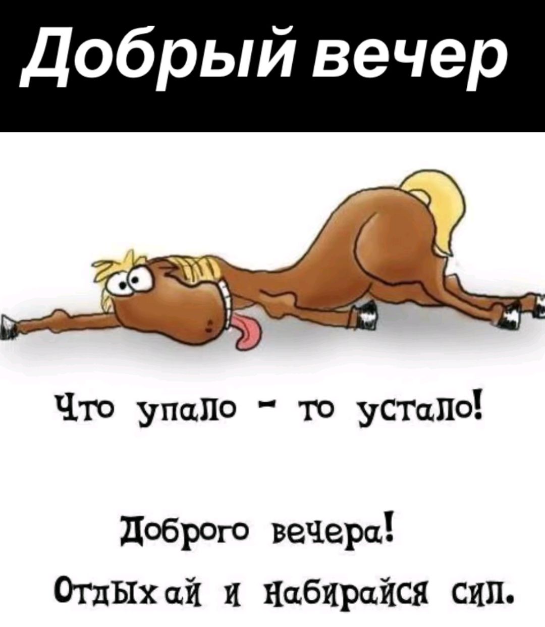 Добрый вечер
Что упало – то устало!
Доброго вечера!
Отдыхай и набирайся сил.
