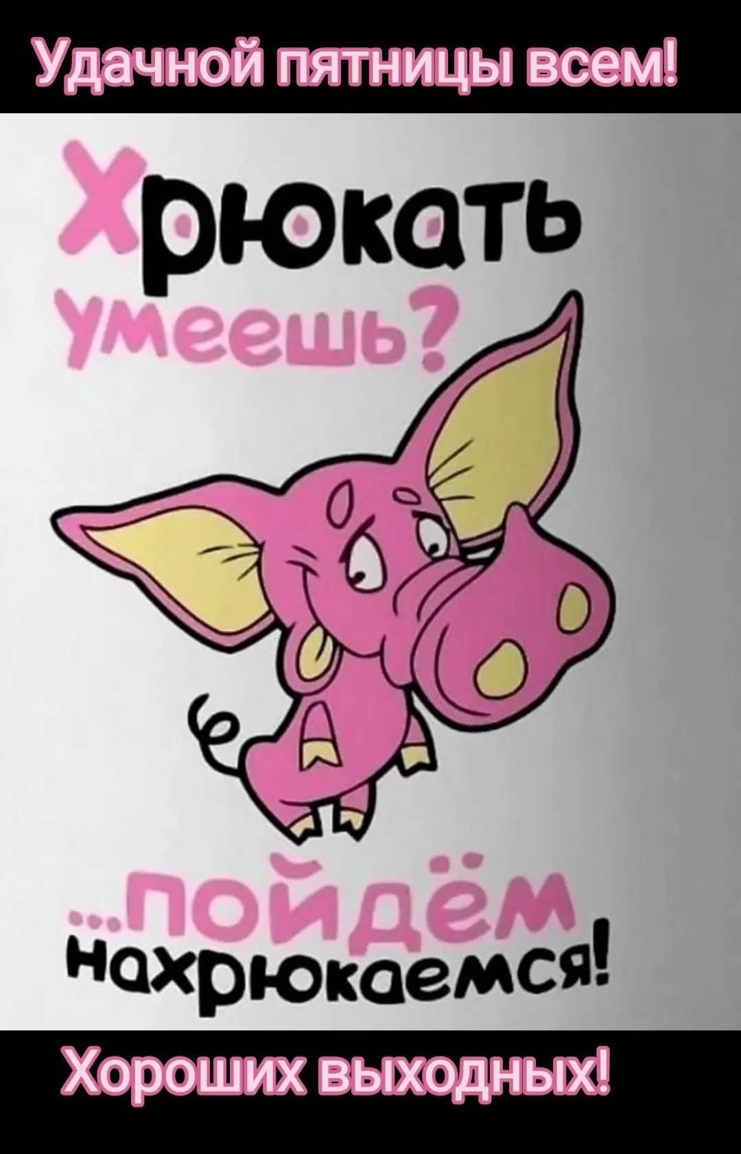 Удачной пятницы всем!
Хрюкать умеешь?
...пойдём нахрюкаемся!
Хороших выходных!