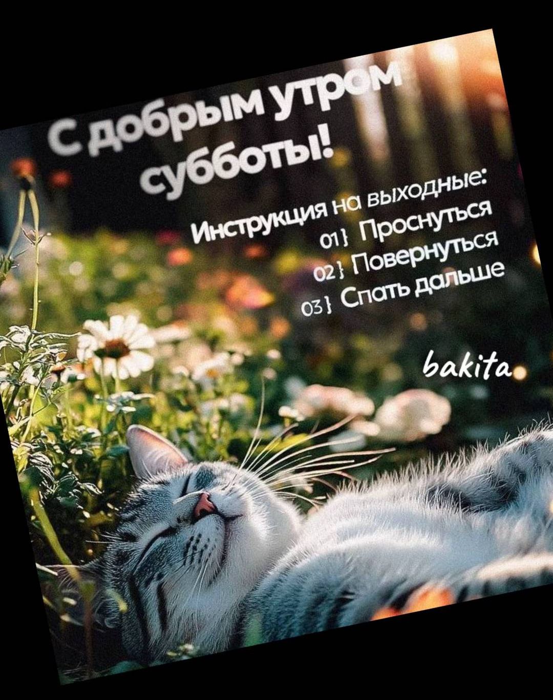 С добрым утром субботы!
Инструкция на выходные:
01) Проснуться
02) Повернуться
03) Спать дальше
bakita