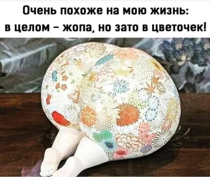 Очень похоже на мою жизнь: в целом – жопа, но зато в цветочек!