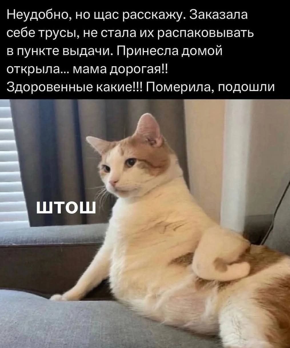 Неудобно, но щас расскажу. Заказала себе трусы, не стала их распаковывать в пункте выдачи. Принесла домой, открыла... мама дорогая!! Здоровенные какие!!! Померила, подошли
ШТОШ