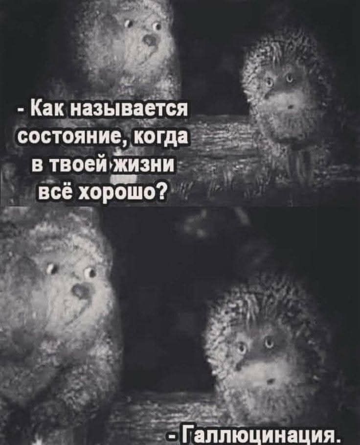 - Как называется состояние, когда в твоей жизни всё хорошо?
- Галлюцинация.