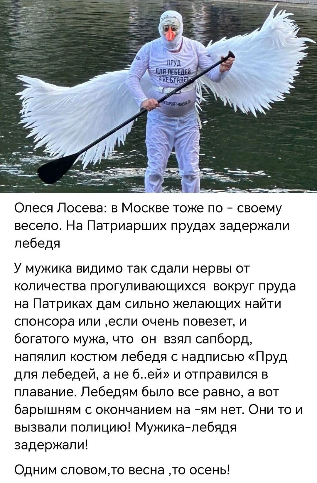 Олеся Лосева: в Москве тоже по - своему весело. На Патриарших прудах задержали лебедя У мужика видимо так сдали нервы от количества прогуливающихся вокруг пруда на Патриках дам сильно желающих найти спонсора или ,если очень повезет, и богатого мужа, что он взял сапборд, напялил костюм лебедя с надписью «Пруд для лебедей, а не б...й» и отправился в плавание. Лебедям было все равно, а он вызвал полицию! Мужика-лебедя задержали! Одним словом, то осень!