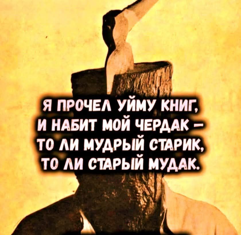 Я прочел уйму книг, и набит мой чердак – то ли мудрый старик, то ли старый мудак.