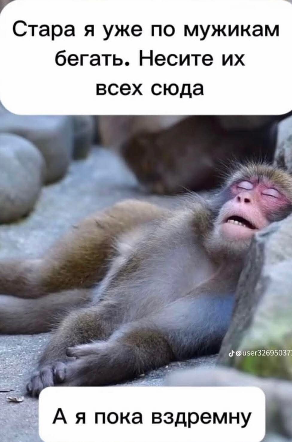 Стара я уже по мужикам бегать. Несите их всех сюда. А я пока вздремну.