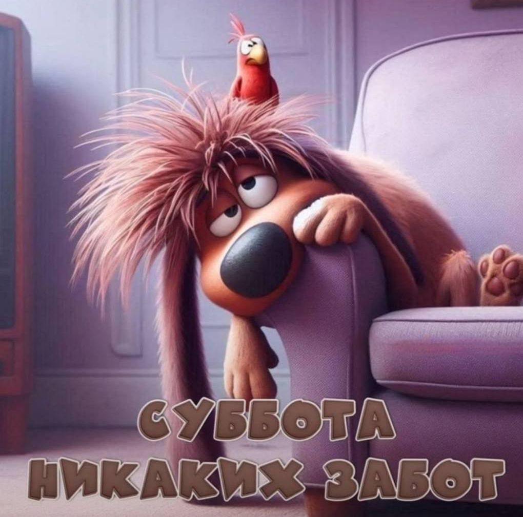 СУББОТА НИКАКИХ ЗАБОТ