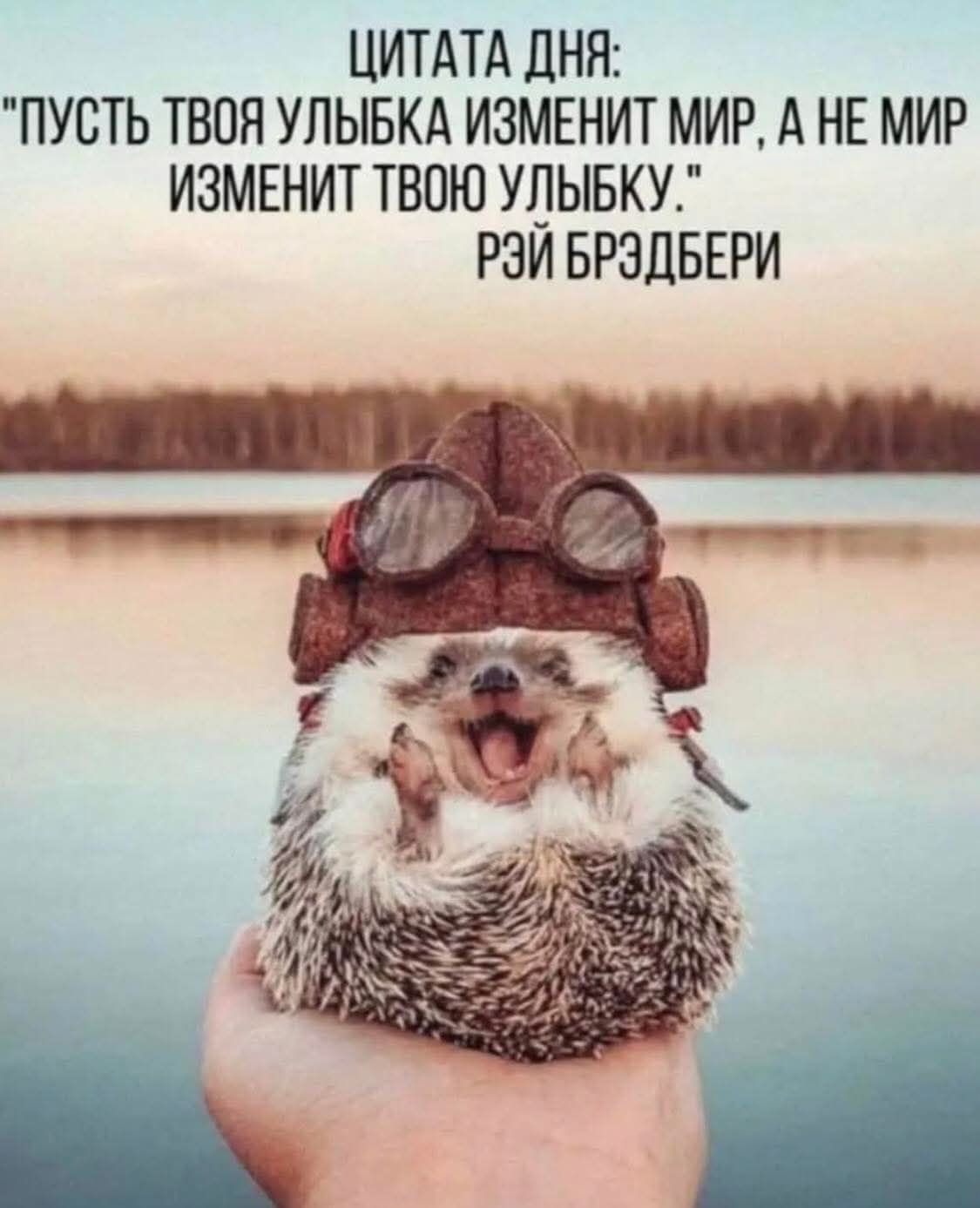 ЦИТАТА ДНЯ: 