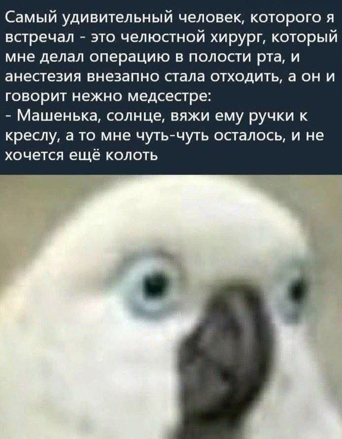 Самый удивительный человек, которого я встретил - это челюстной хирург, который мне делал операцию в полости рта, и анестезия внезапно стала отходить, а он и говорит нежно медсестре: - Машенька, солнышко, вяжи ему ручки к креслу, а то мне чуть-чуть осталось, и не хочется ещё колоть.