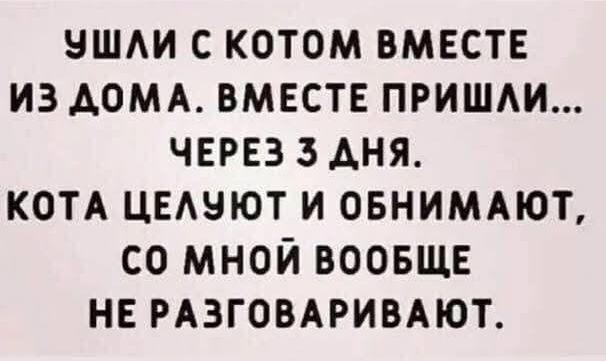 УШЛИ С КОТОМ ВМЕСТЕ ИЗ ДОМА. ВМЕСТЕ ПРИШЛИ... ЧЕРЕЗ 3 ДНЯ. КОТА ЦЕЛУЮТ И ОБНИМАЮТ, СО МНОЙ ВООБЩЕ НЕ РАЗГОВАРИВАЮТ.