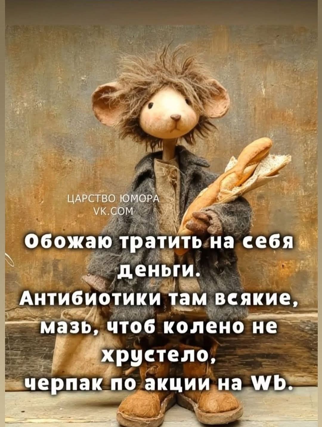 Обожаю тратить на себя деньги. Антибиотики там всякие, мазь, чтоб колено не хрустело, черпак по акции на Wb.