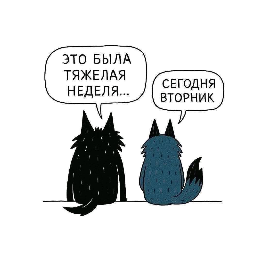 Это была тяжёлая неделя... Сегодня вторник.