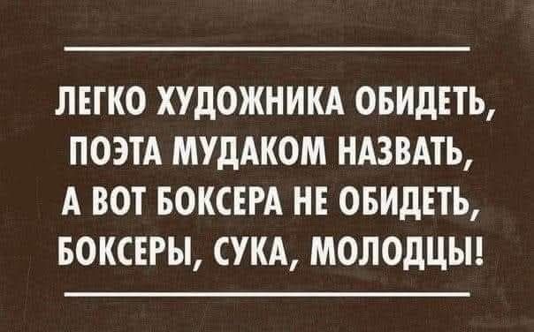 ЛЕГКО ХУДОЖНИКА ОБИДЕТЬ, ПОЭТА МУДАКОМ НАЗВАТЬ, А ВОТ БОКСЕРА НЕ ОБИДЕТЬ, БОКСЕРЫ, СУКА, МОЛОДЦЫ!