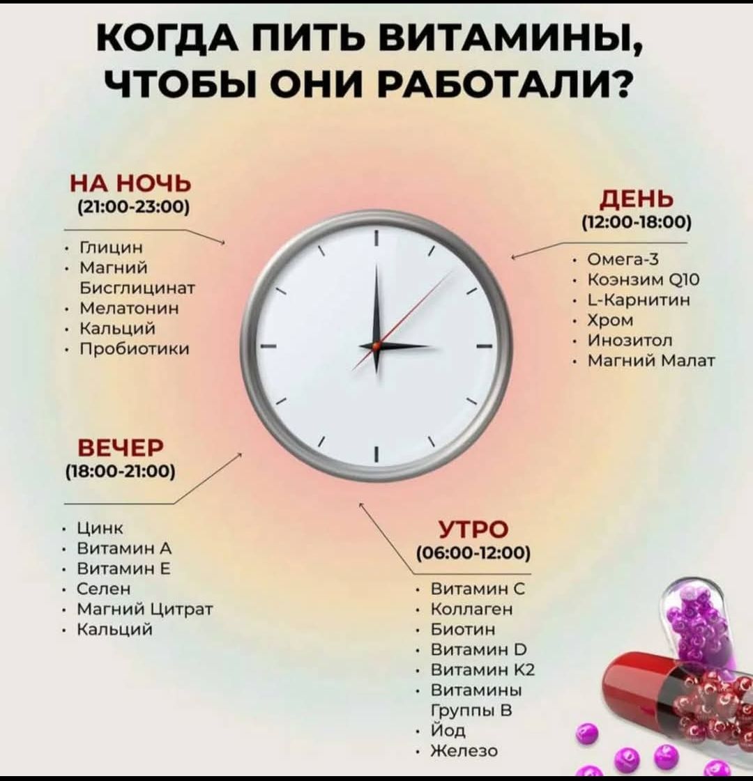 КОДА ПИТЬ ВИТАМИНЫ, ЧТОБЫ ОНИ РАБОТАЛИ?

НА НОЧЬ (21:00-23:00)
- Глицин
- Магний
- Бисглицинат
- Мелатонин
- Кальций
- Пробиотики

ВЕЧЕР (18:00-21:00)
- Цинк
- Витамин A
- Витамин E
- Селен
- Магний Цитрат
- Кальций

УТРО (06:00-12:00)
- Витамин C
- Коллаген
- Биотин
- Витамин D
- Витамин K2
- Витамины B1
- Группы B
- Йод
- Железо

ДЕНЬ (12:00-18:00)
- Омега-3
- Коэнзим Q10
- Хром
- Инозитол
- Магний Малат