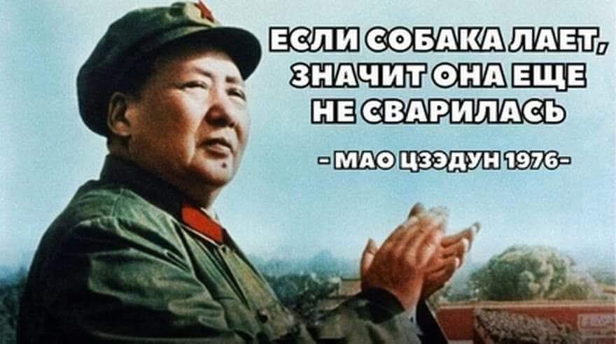 ЕСЛИ СОБАКА ЛАЕТ, ЗНАЧИТ ОНА ЕЩЕ НЕ СВАРИЛАСЬ - МАО ЦЗЭДУН 1976
