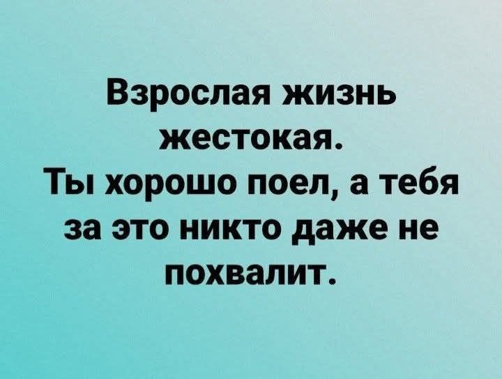 Взрослая жизнь жестокая. Ты хорошо поел, а тебя за это никто даже не похвалит.