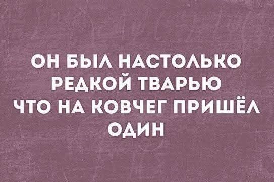 ОН БЫЛ НАСТОЛЬКО РЕДКОЙ ТВАРЬЮ ЧТО НА КОВЧЕГ ПРИШЁЛ ОДИН