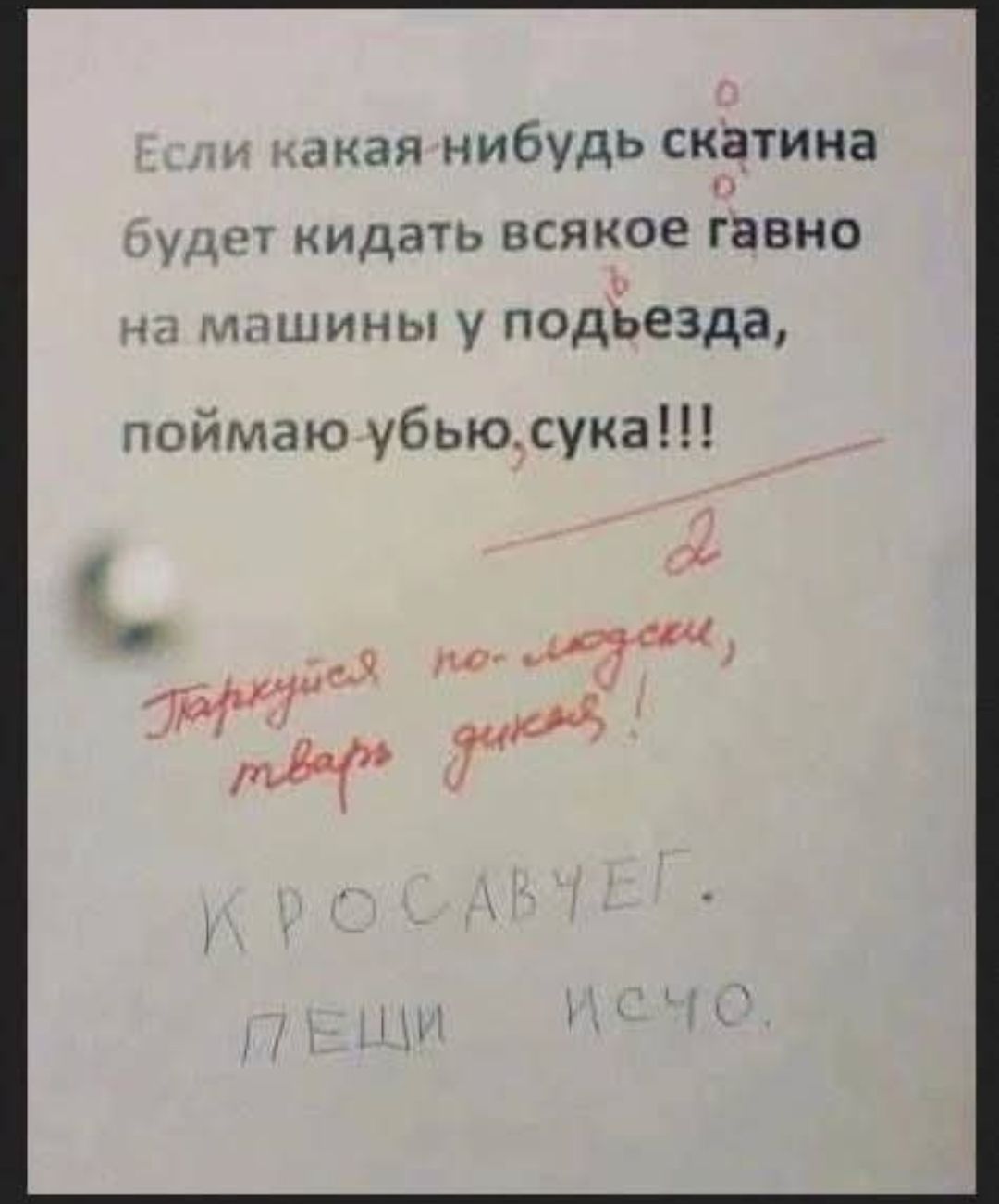 Если какая-нибудь скотина будет кидать всякое говно на машины у подъезда, поймаю - убью, сука!!! 2 Паркуйся по-людски, тварь дикая! КРОСАВЕГ. ПЕШИ ИСЧО.