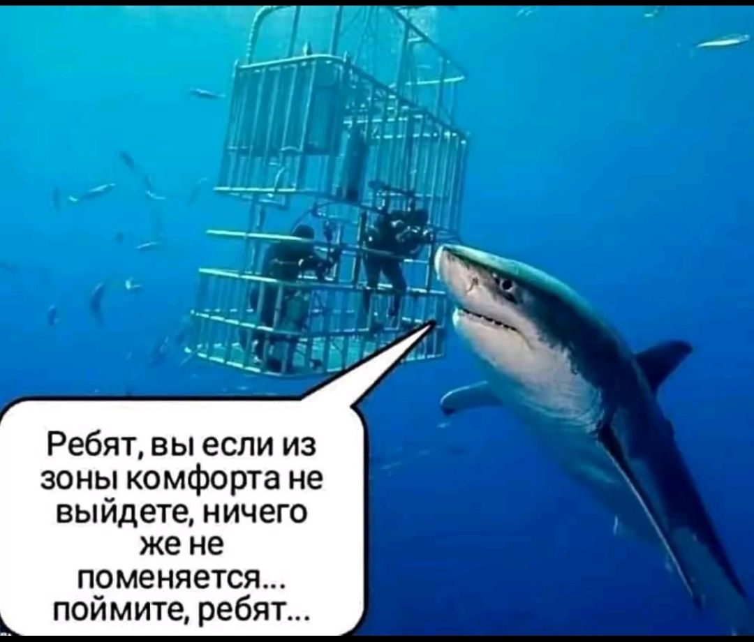 Ребят, вы если из зоны комфорта не выйдете, ничего же не изменится... поймите, ребят...
