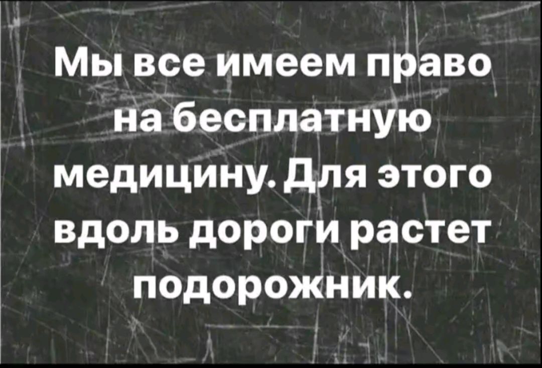 Мы все имеем право на бесплатную медицину. Для этого вдоль дороги растет подорожник.