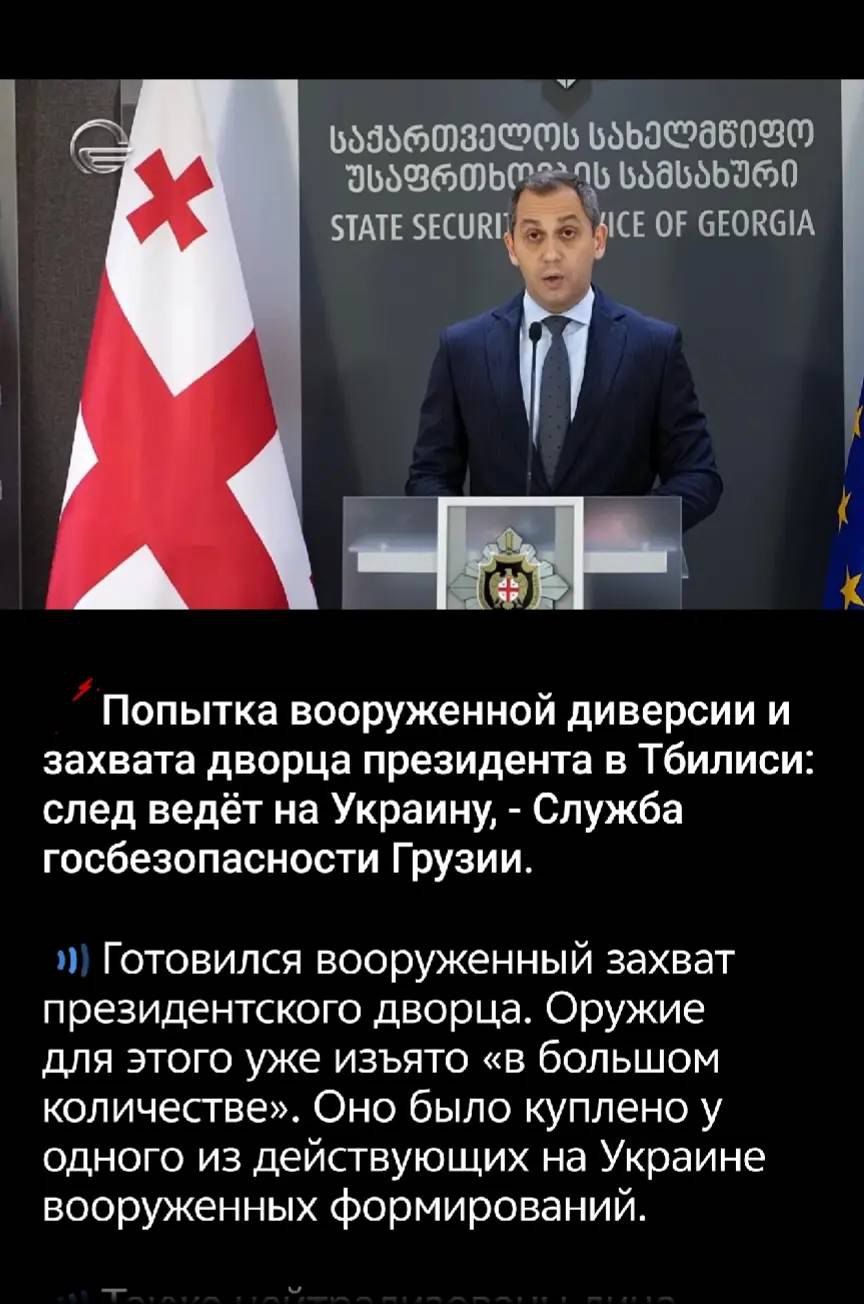 Попытка вооруженной диверсии и захвата дворца президента в Тбилиси: след ведёт на Украину, - Служба госбезопасности Грузии.


