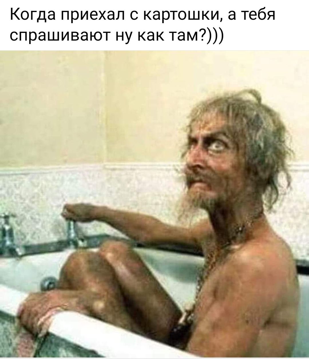 Когда приехал с картошки, а тебя спрашивают ну как там?))