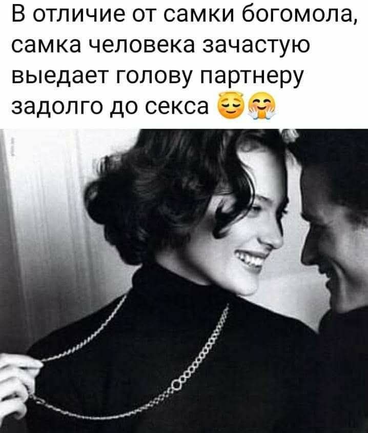 В отличие от самки богомола, самка человека зачастую выедает голову партнеру задолго до секса 😅😭