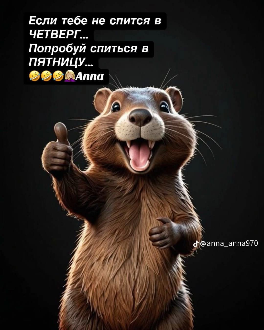 Если тебе не спится в ЧЕТВЕРГ... Попробуй спиться в ПЯТНИЦУ... 😂😂😂Anna