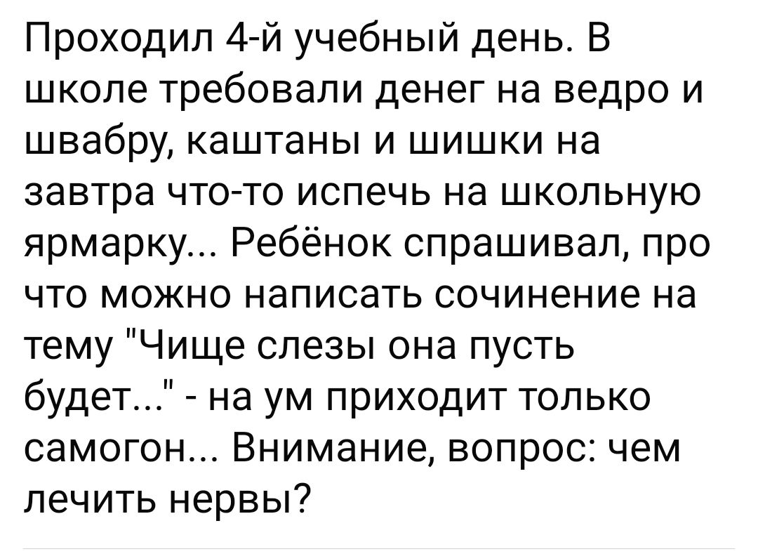 Проходил 4-й учебный день. В школе требовали денег на ведро и швабру, каштаны и шишки на завтра что-то испечь на школьную ярмарку... Ребёнок спрашивал, про что можно написать сочинение на тему 