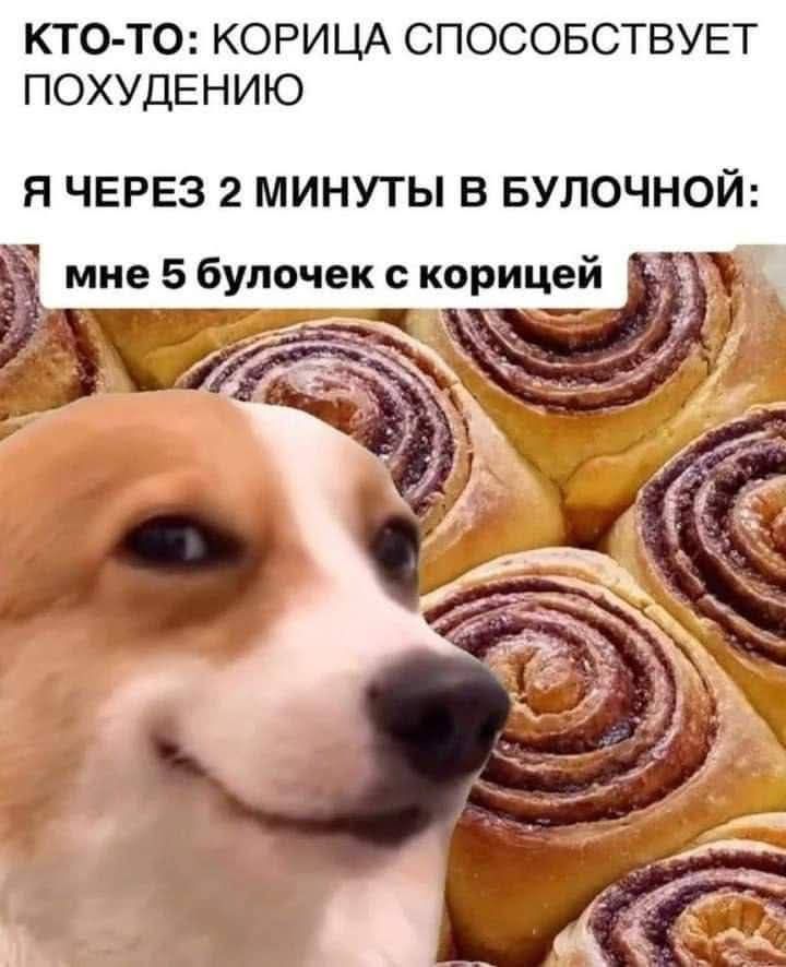 КТО-ТО: КОРИЦА СПОСОБСТВУЕТ ПОХУДЕНИЮ
Я ЧЕРЕЗ 2 МИНУТЫ В БУЛОЧНОЙ:
мне 5 булочек с корицей