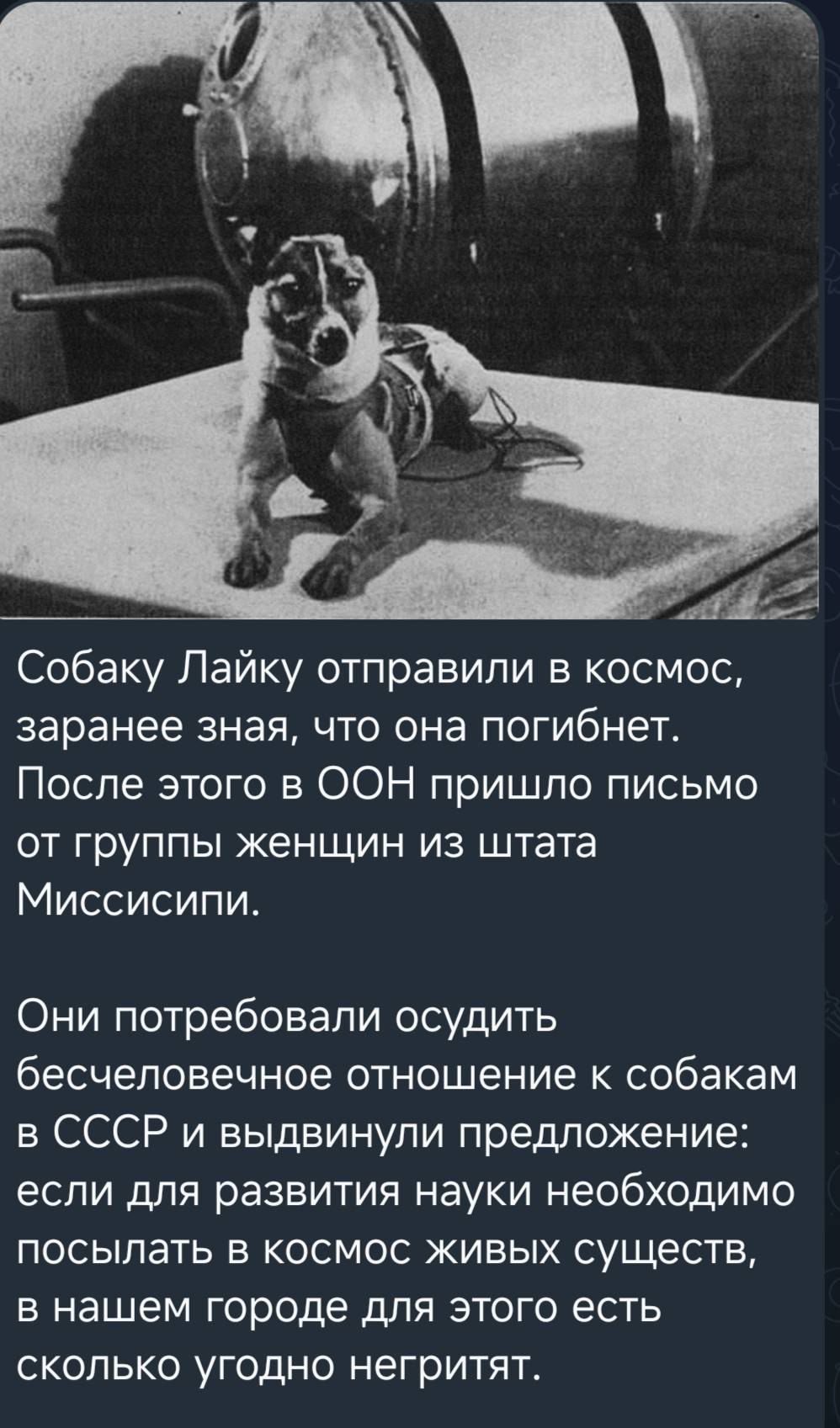 Собаку Лайку отправили в космос, заранее зная, что она погибнет. После этого в ООН пришло письмо от группы женщин из штата Миссисипи.

Они потребовали осудить бесчеловечное отношение к собакам в СССР и выдвинули предложение: если для развития науки необходимо посылать в космос живых существ, в нашем городе для этого есть сколько угодно негритят.