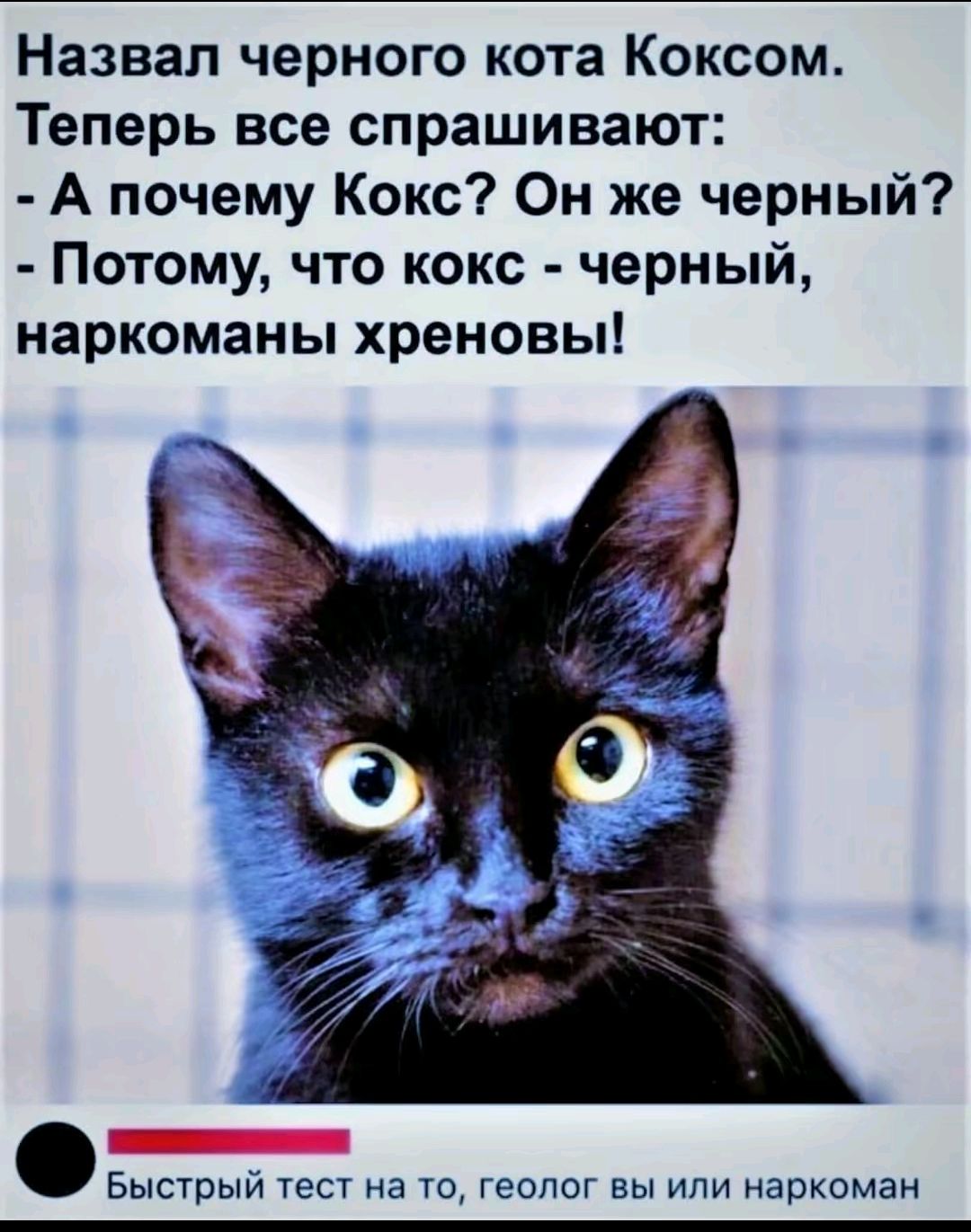 Назвал черного кота Коксоом. Теперь все спрашивают: - А почему Кокс? Он же черный? - Потому, что кокс - черный, наркоманы хреновы!

Быстрый тест на то, геолог вы или наркоман