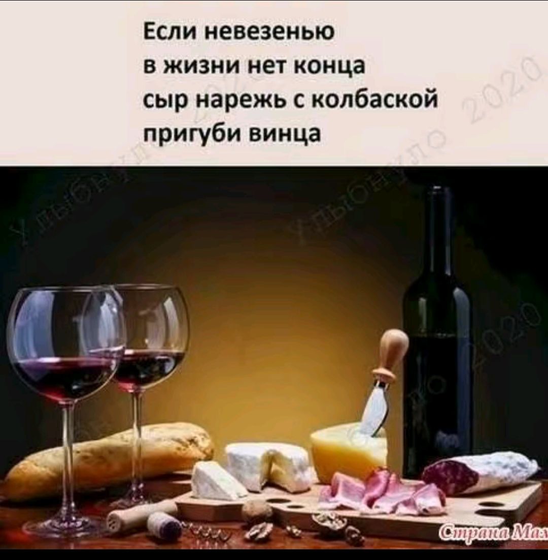 Если невежеству в жизни нет конца сыр нарежь с колбаской пригуби винца