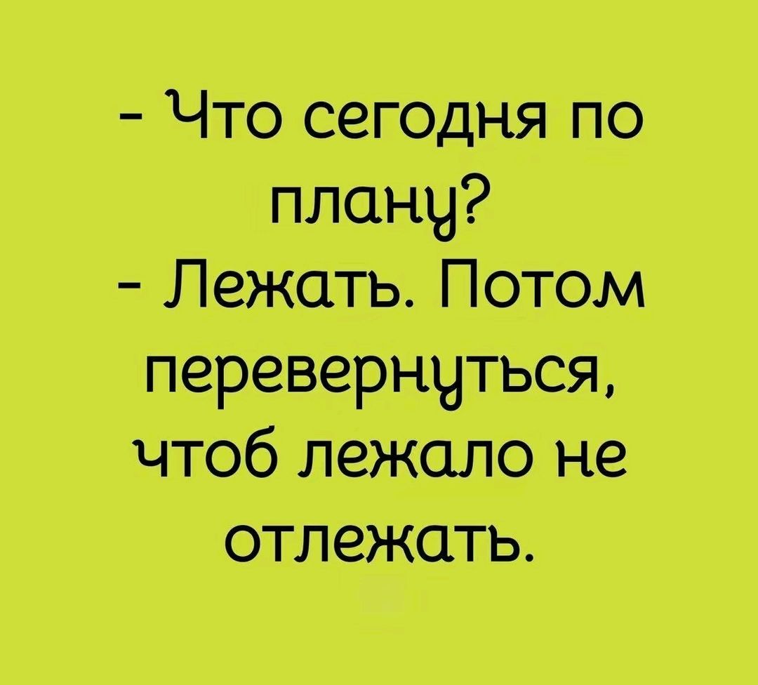 Что сегодня по плану?
- Лежать. Потом перевернуться, чтобы лежало не отлежать.