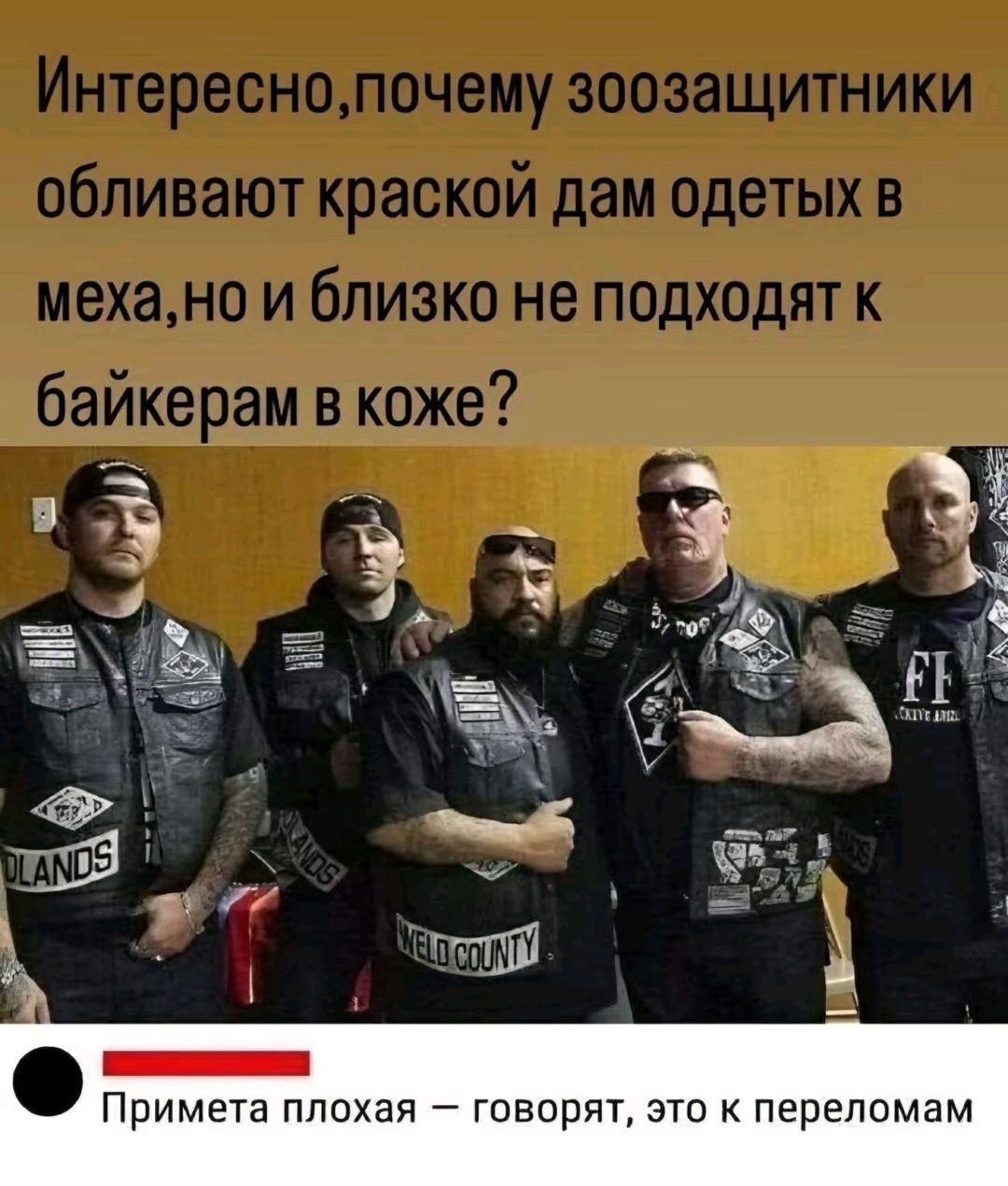 Интересно, почему зоозащитники обливают красной дам одетых в меха, но и близко не подходят к байкерам в коже? Примета плохая — говорят, это к переломам.