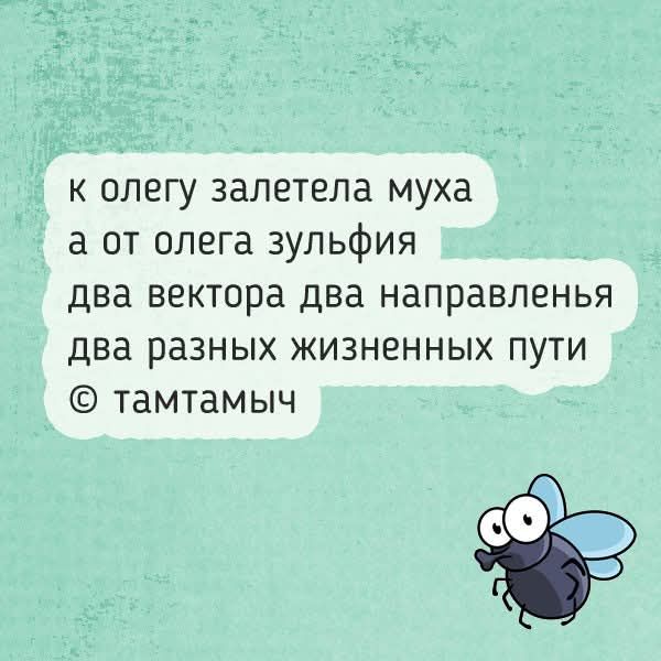 к олегу залетела муха а от олега зульфия два вектора два направления два разных жизненных пути © тамтамыч