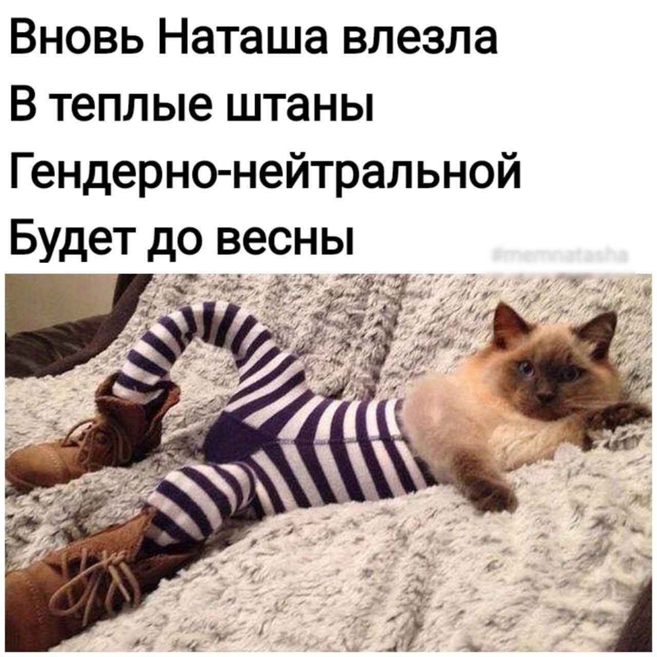 Вновь Наташа влезла
В теплые штаны
Гендерно-нейтральной
Будет до весны

#memnatasha