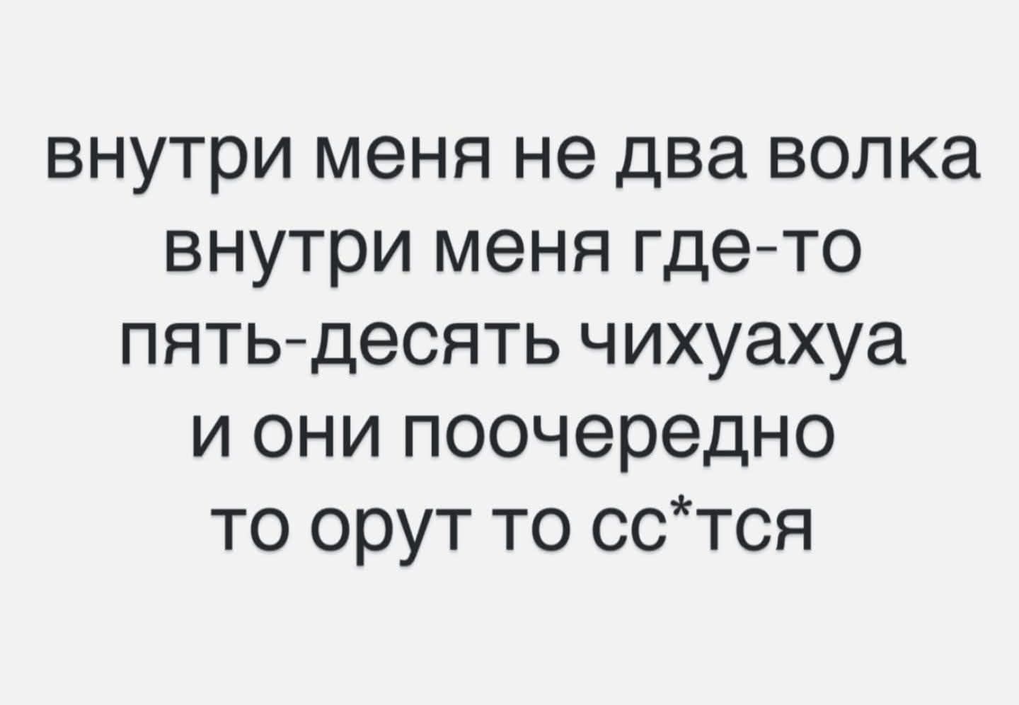 внутри меня не два волка внутри меня где-то пять-десять чикухаюа и они поочерёдно то орут то сс*тся