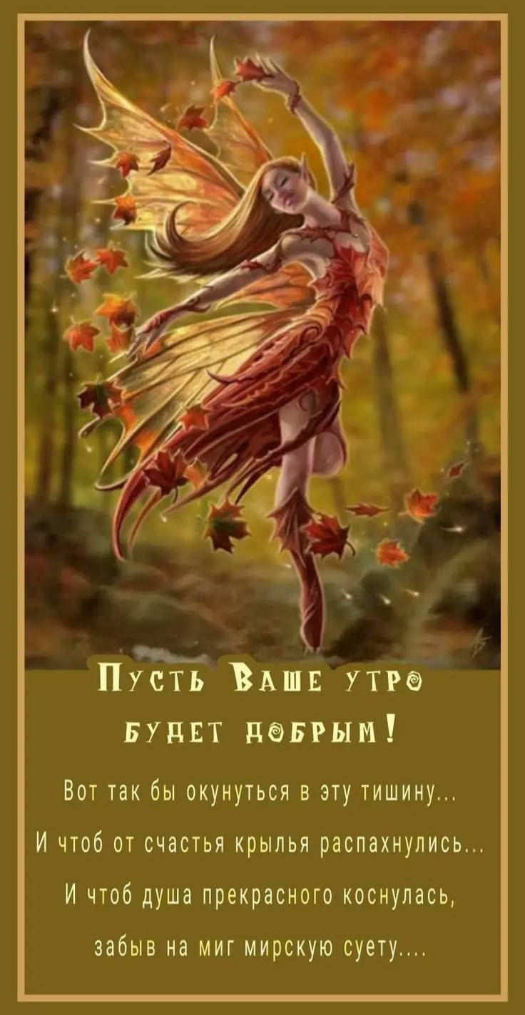 Пусть Ваше утро будет добрым!
Вот так бы окунуться в эту тишину...
И чтоб от счастья крылья распахнулись...
И чтоб душа прекрасного коснулась, забыв на миг мирскую суету....