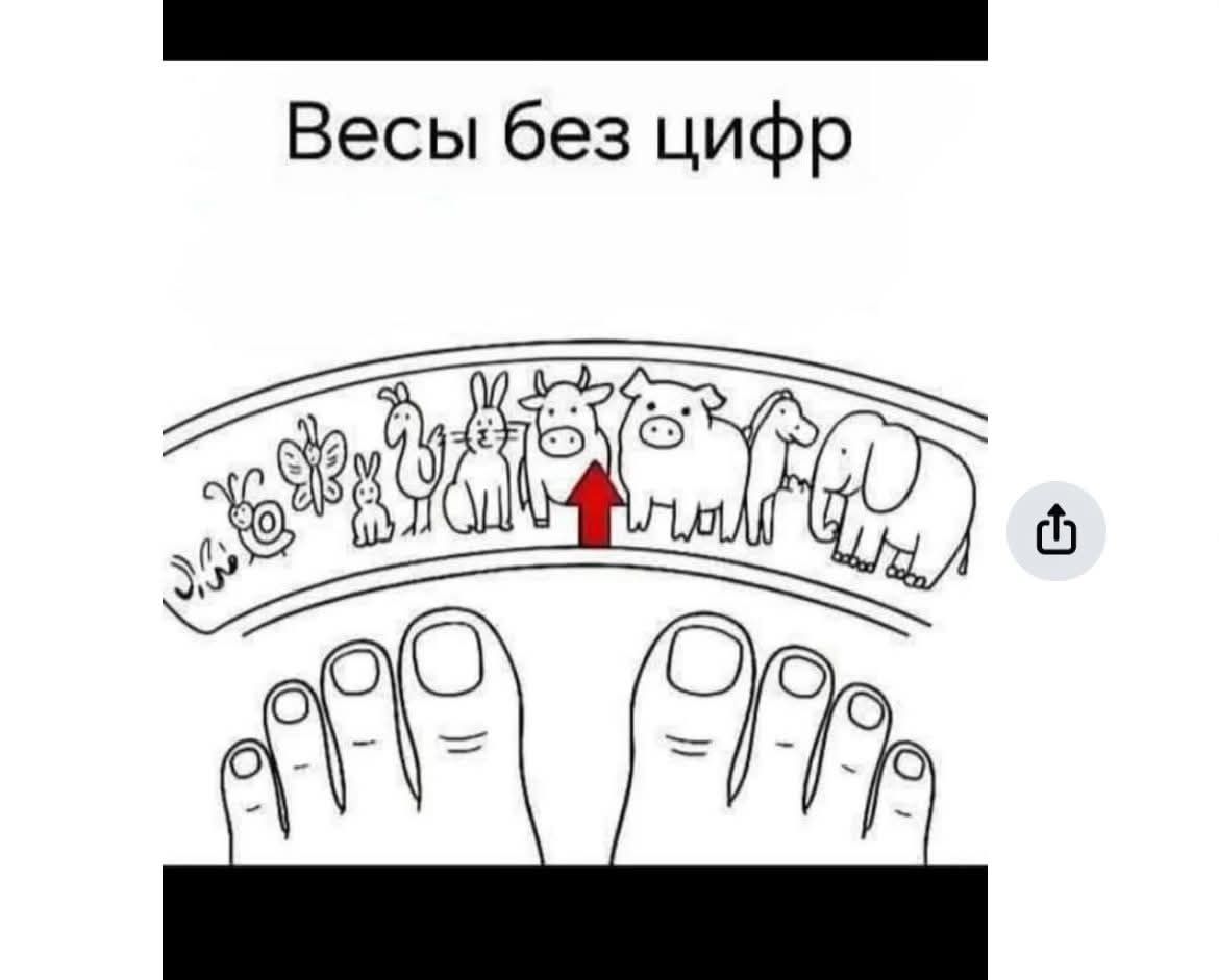 Весы без цифр