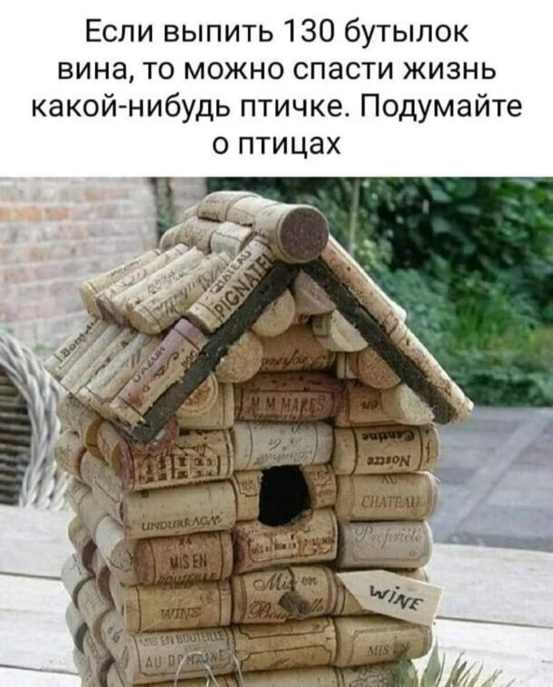 Если выпить 130 бутылок вина, то можно спасти жизнь какой-нибудь птичке. Подумайте о птицах