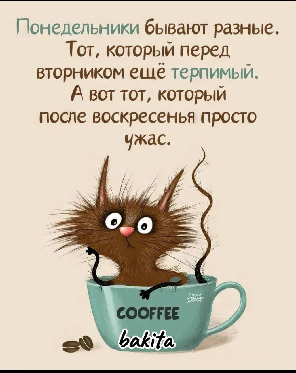 Понедельники бывают разные. Тот, который перед вторником ещё терпимый. А вот тот, который после воскресенья просто ужас.