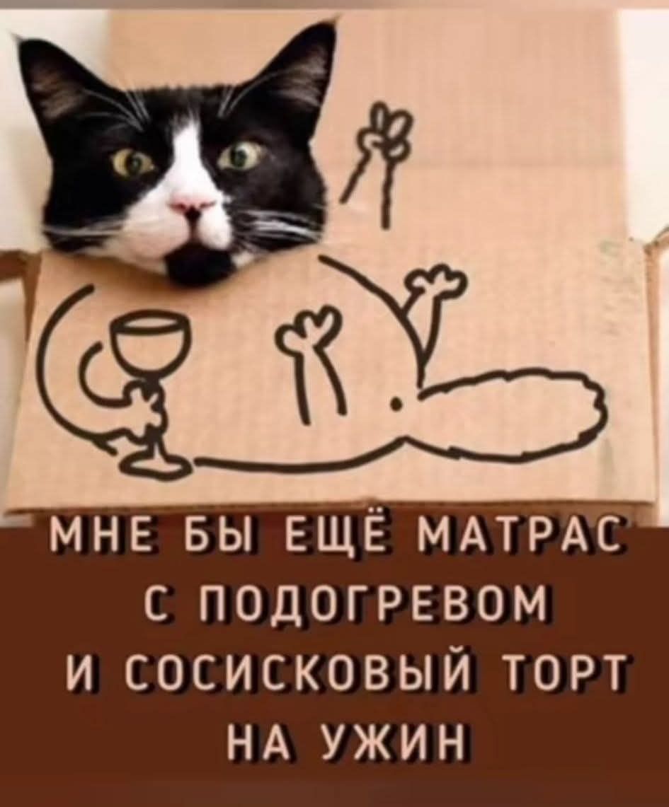 МНЕ БЫ ЕЩЁ МАТРАС С ПОДОГРЕВОМ И СОСИСКОВЫЙ ТОРТ НА УЖИН