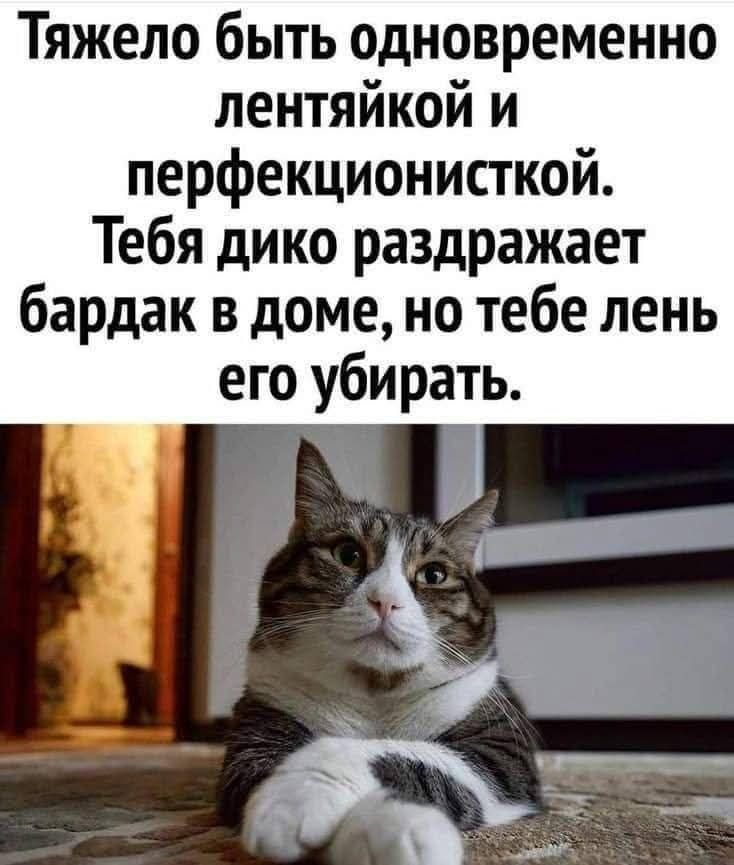 Тяжело быть одновременно лентайкой и перфекционисткой. Тебя дико раздражает бардак в доме, но тебе лень его убирать.