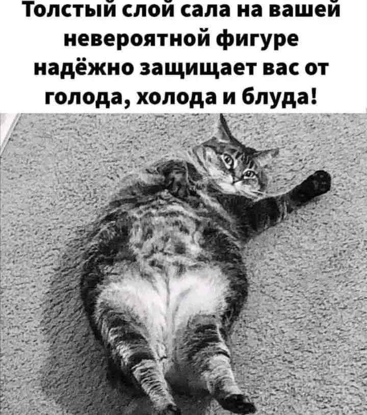 Толстый слой сала на вашей невероятной фигуре надёжно защищает вас от голода, холода и блюда!