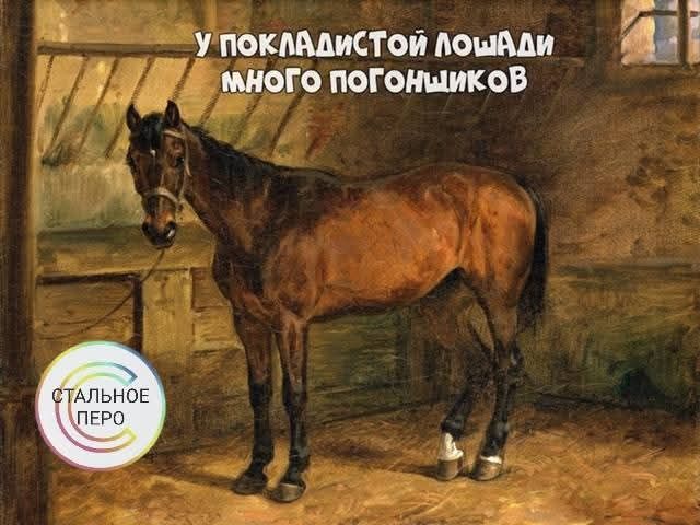 У покладистой лошади много погонщиков