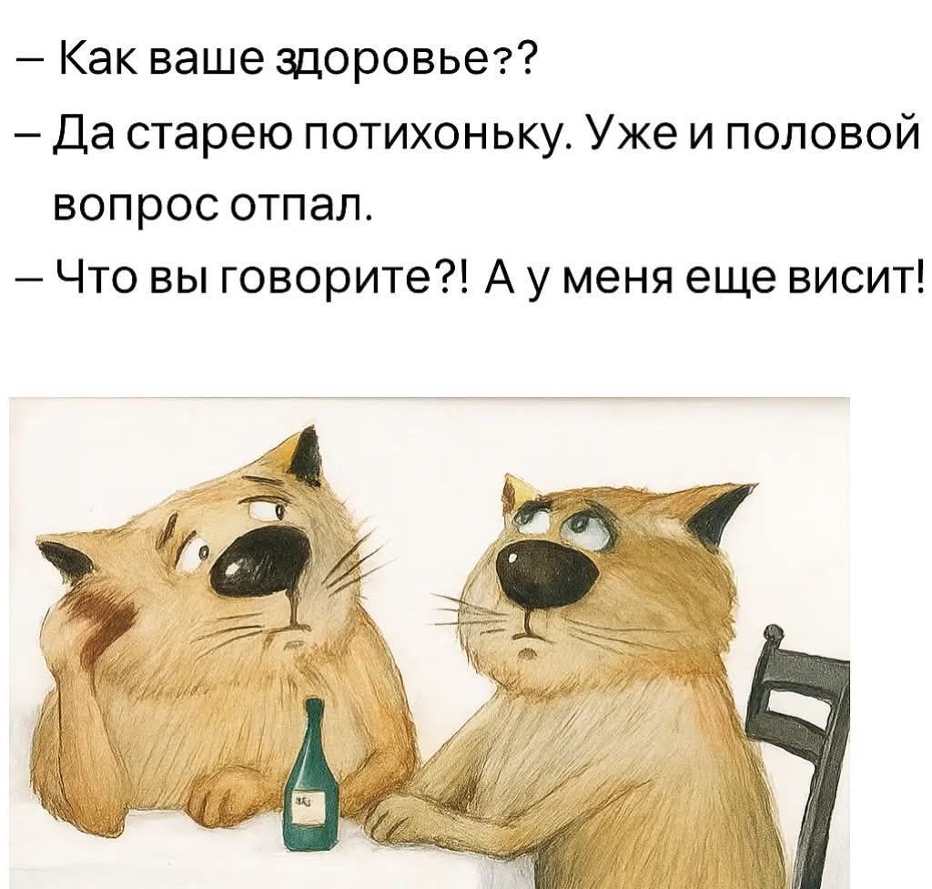 - Как ваше здоровье??
- Да старое потихоньку. Уже и половой вопрос отпал.
- Что вы говорите?! А у меня еще висит!